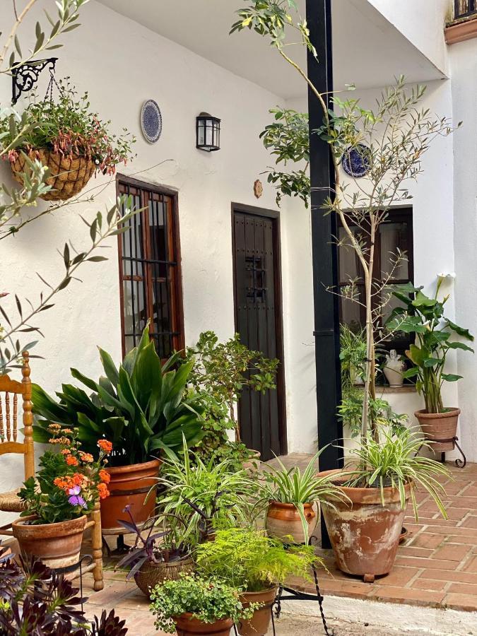 Amal Casa de huéspedes Cordova Esterno foto