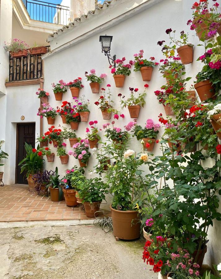 Amal Casa de huéspedes Cordova Esterno foto